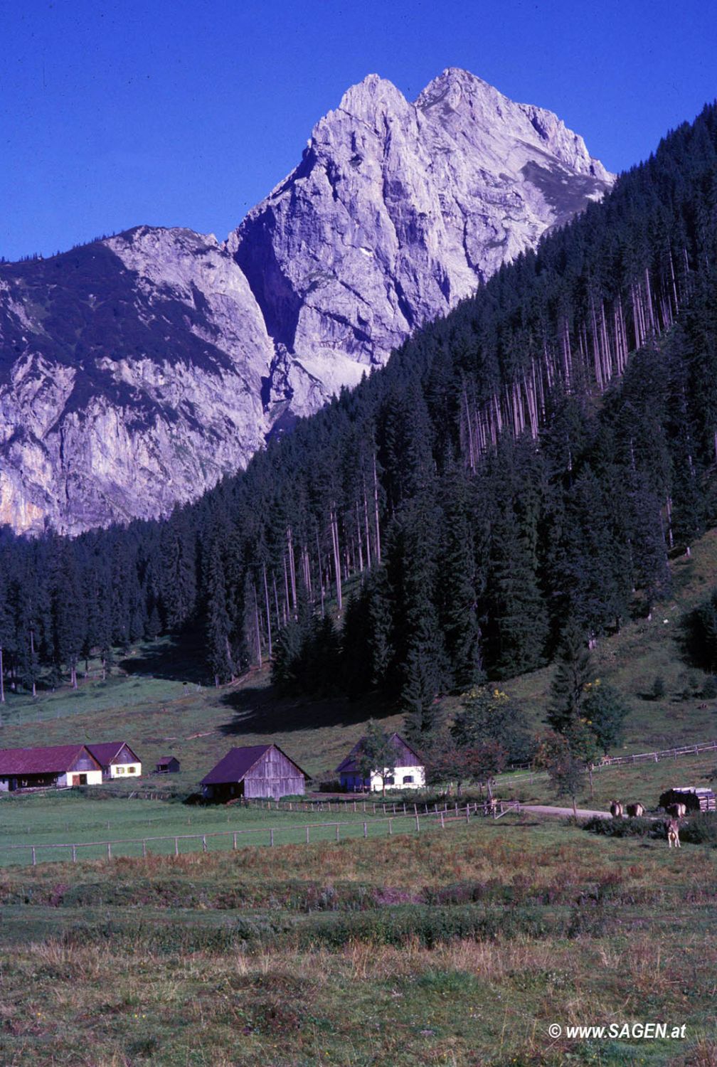 Eisenerz, Hochkogel, 1984