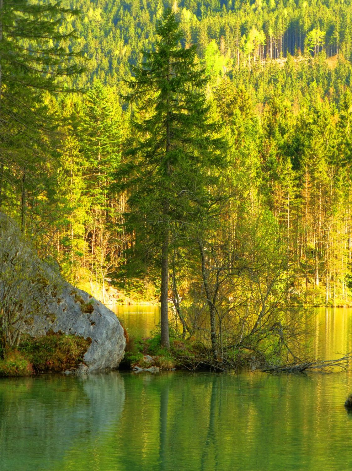 Entspannen am Hintersee bei Ramsau