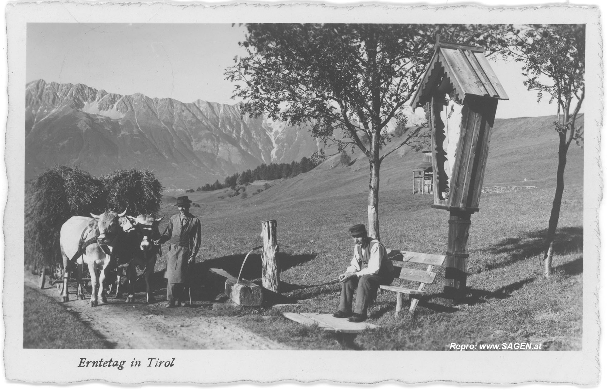 Erntetag in Tirol