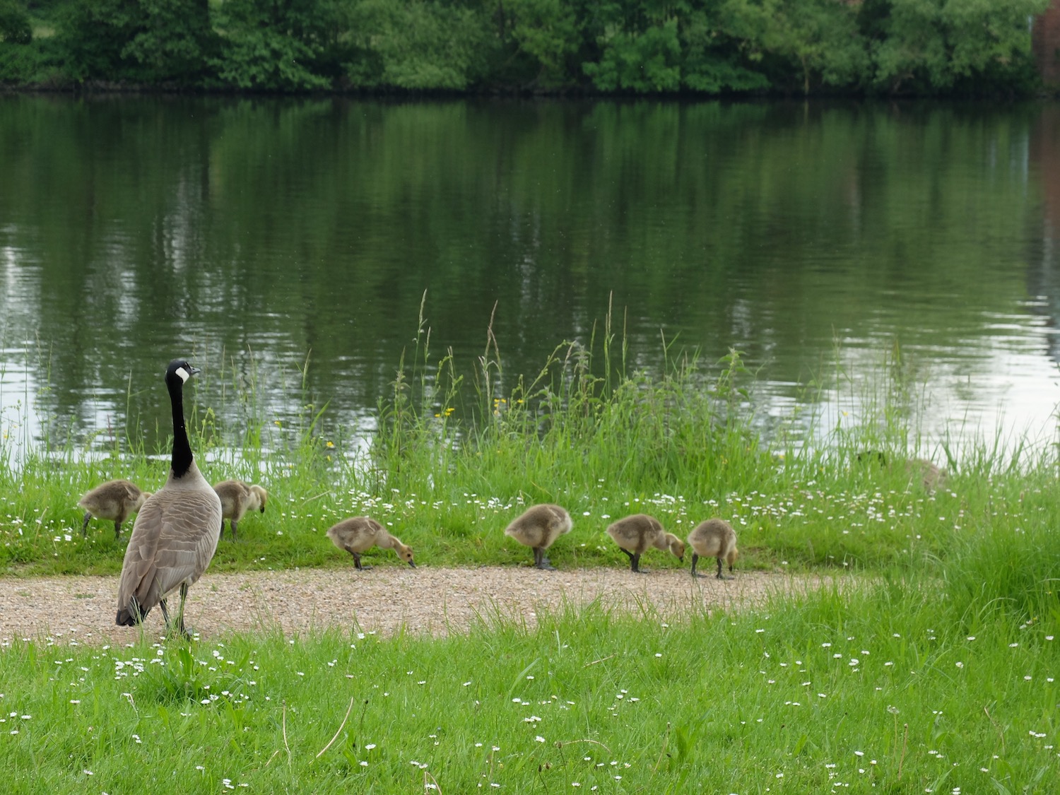 Familienspaziergang am Main