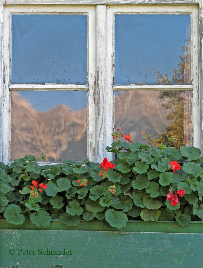 Fenster mit Ausblick