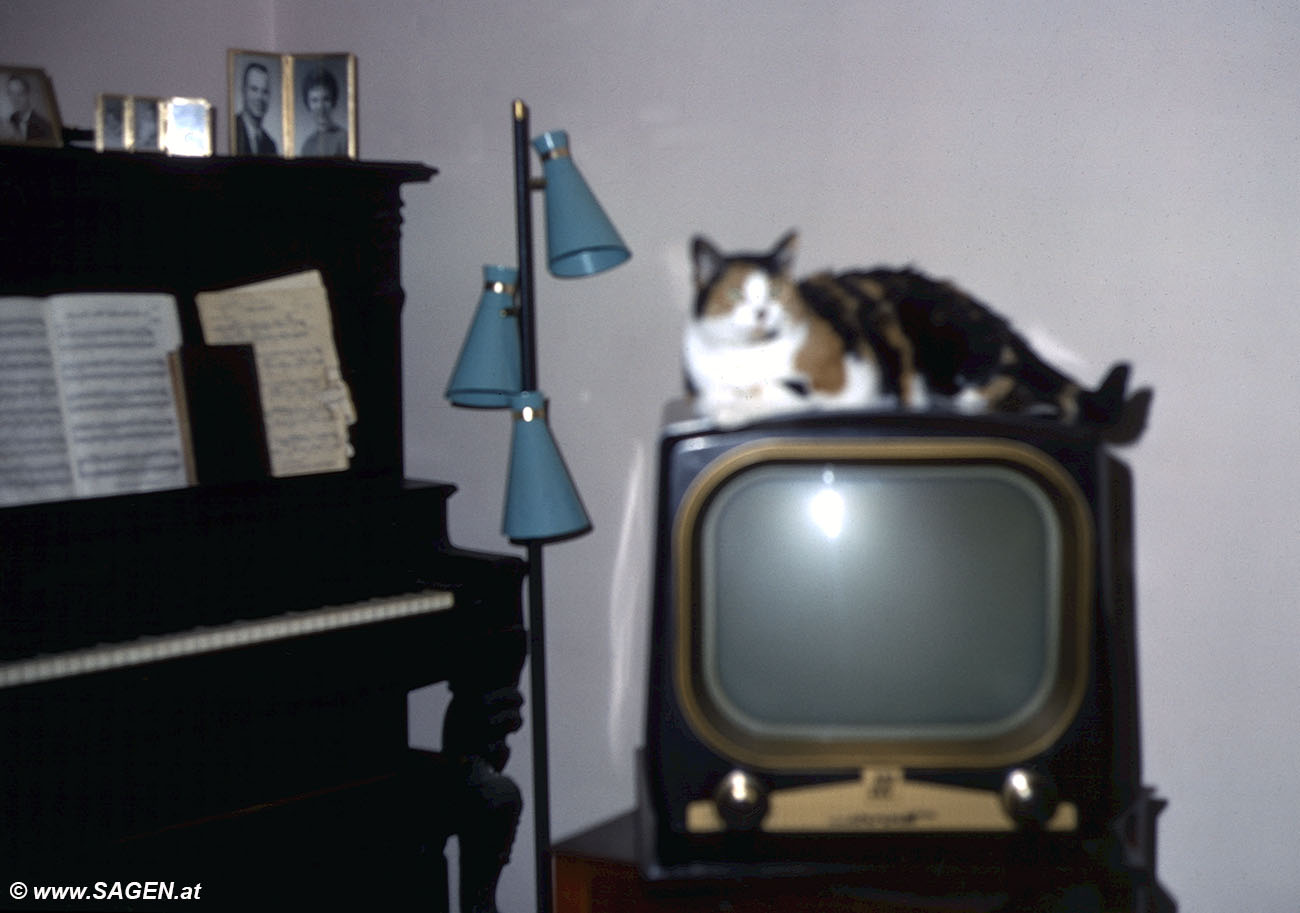 Fernseher im Wohnzimmer 1966