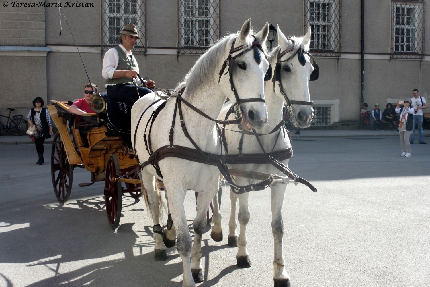 Fiaker in der Salzburger Altstadt