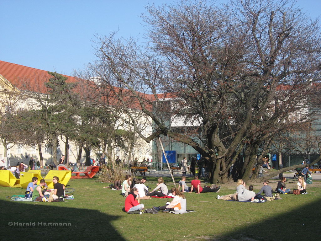 Frühlingserwachen