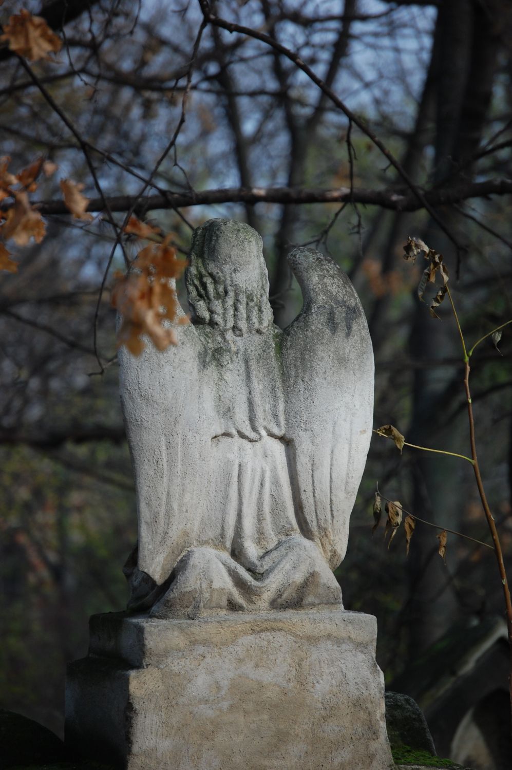 Friedhof St.Marx in Wien
