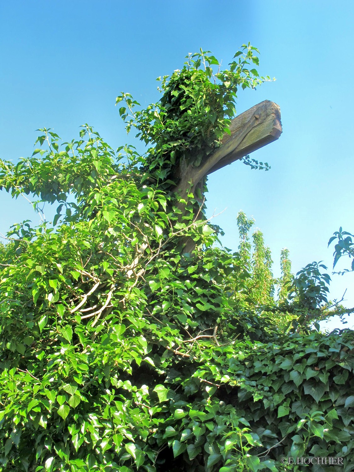 Friedhofskreuz mit Blechkorpus Hafnerbach bei St. Pölten