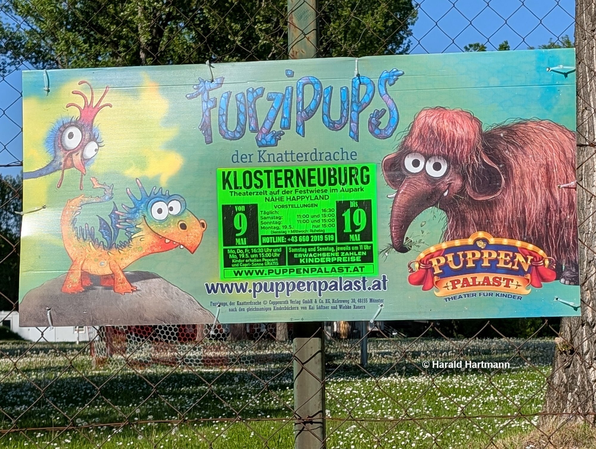 Furzipups