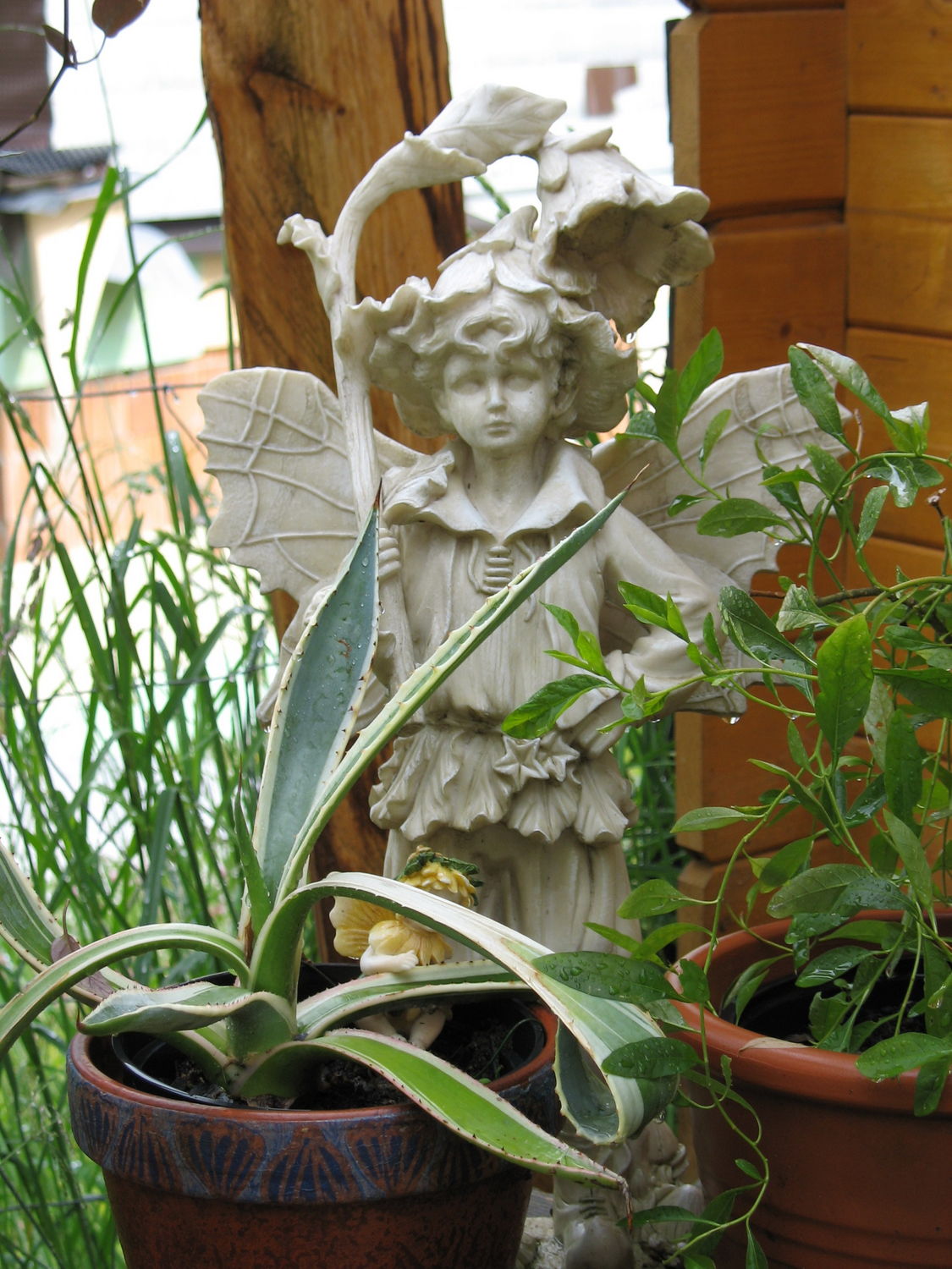 gartenelf