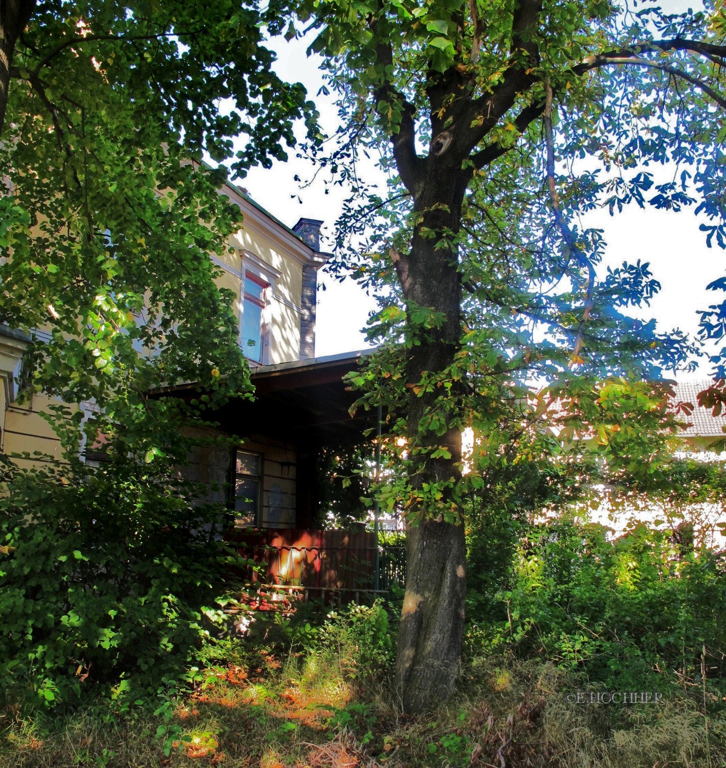 Gastgarten