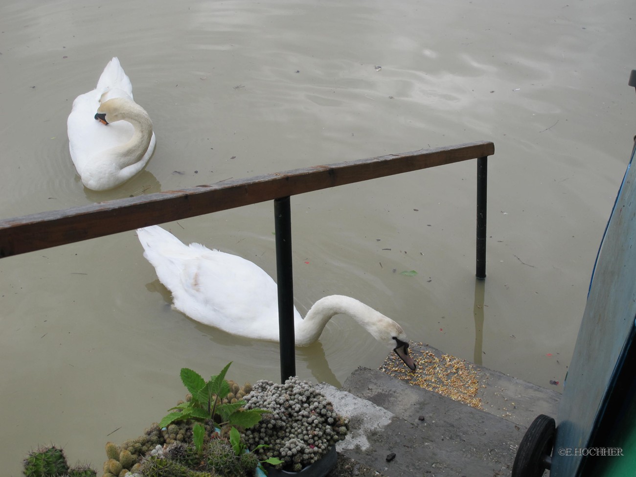 Gegenbesuch