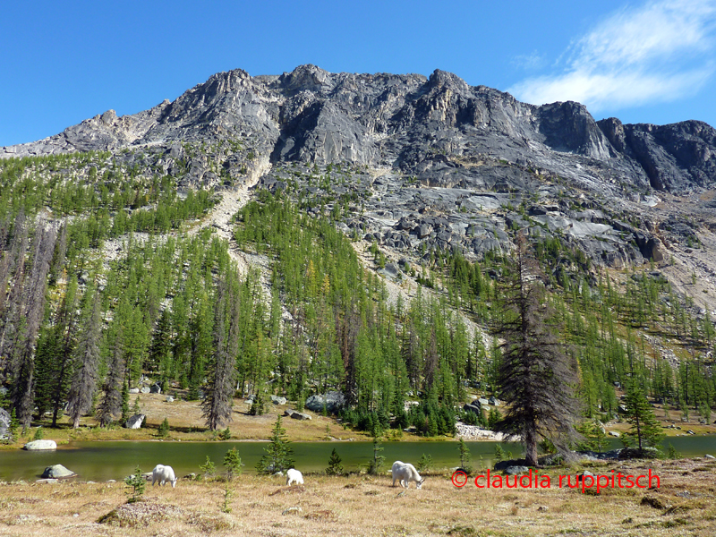 Goat Lake Area im Cathedral Provincial Park, BC, Kanada