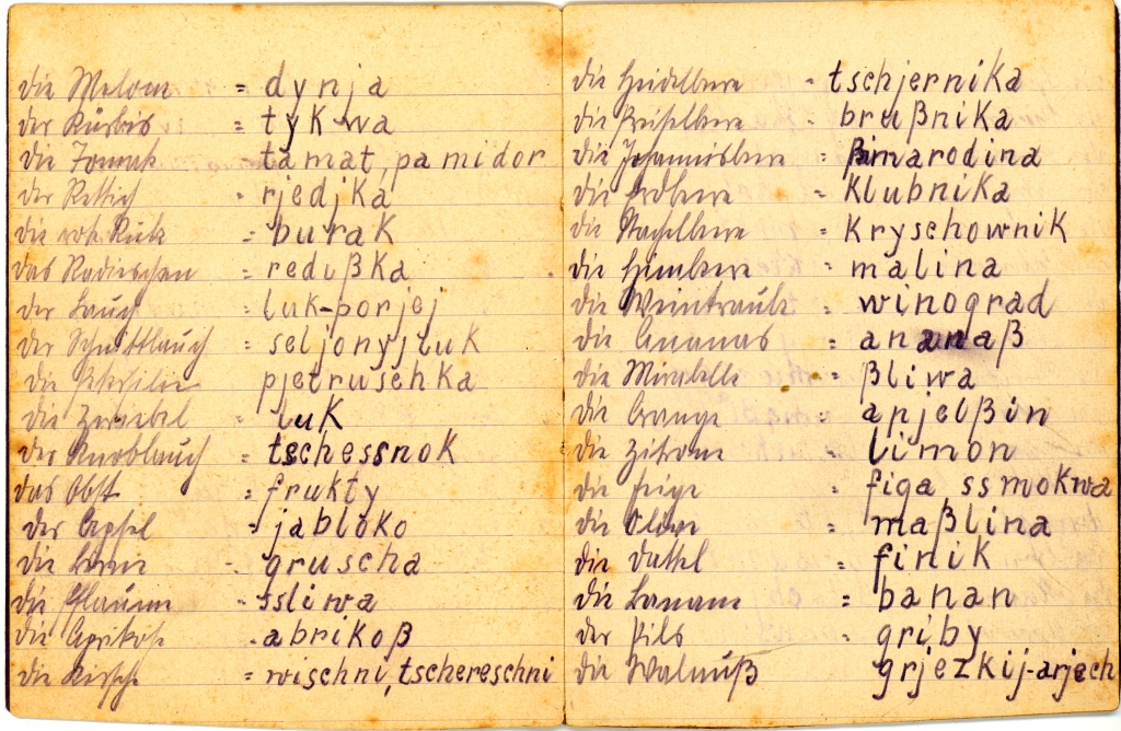Handgeschriebenes Wörterbuch
