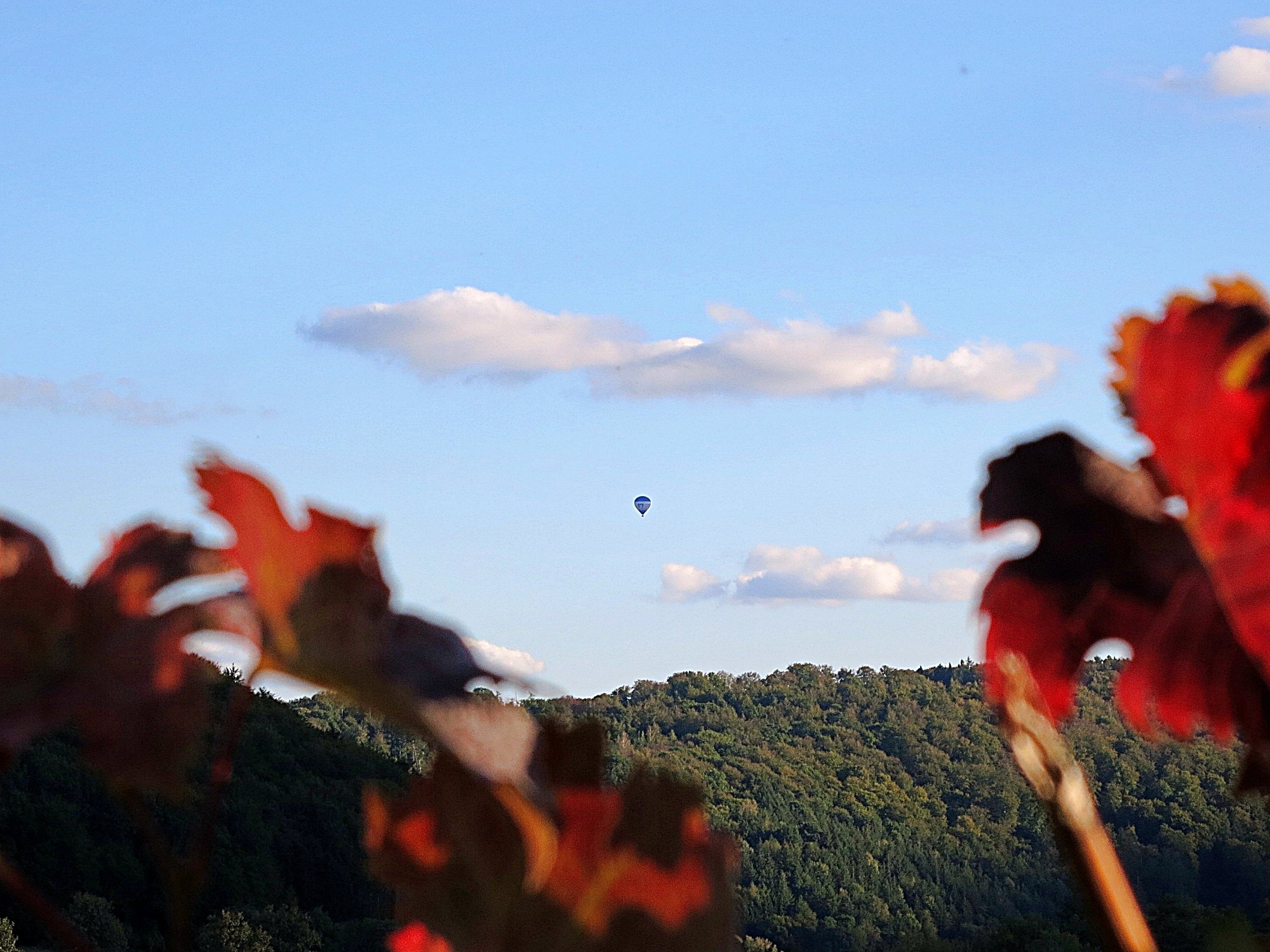 Heißluftballon im Herbst