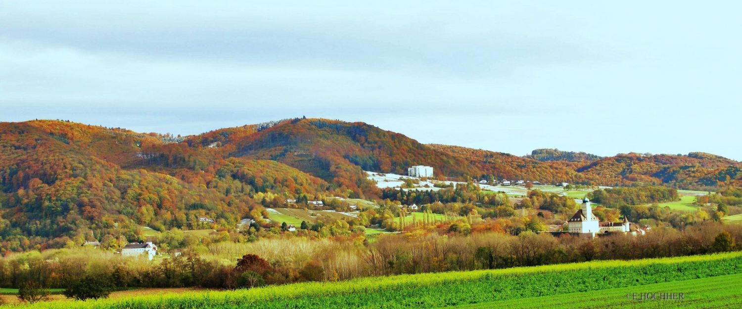 Herbst überm Donautal
