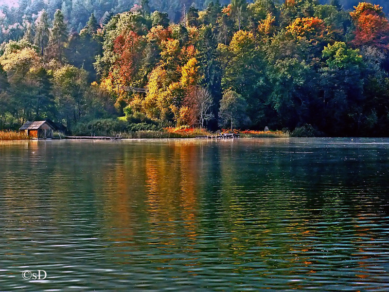 Herbst am See