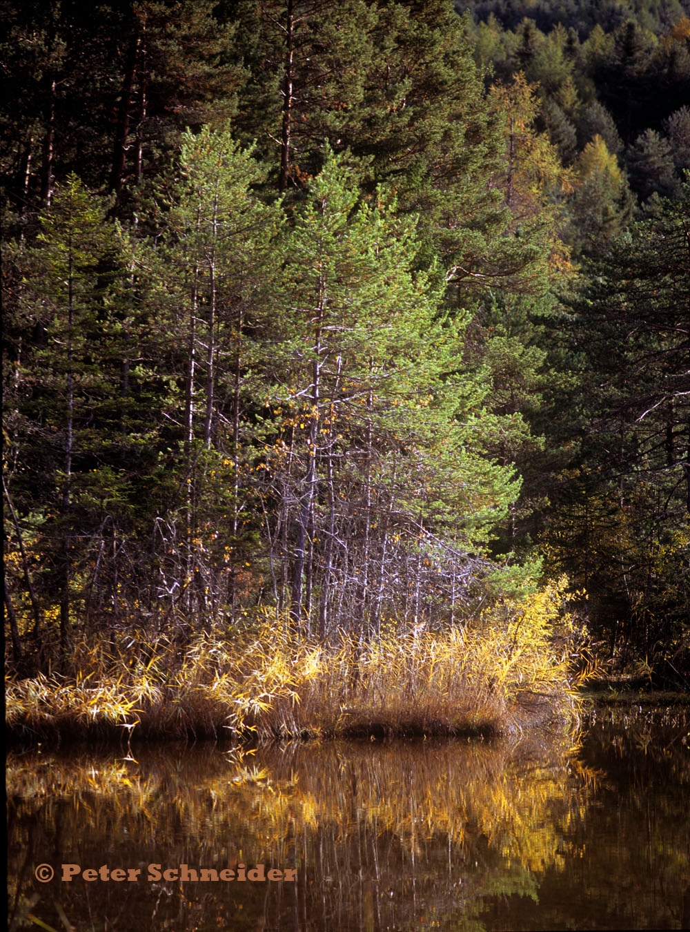 Herbst im Gurgltal