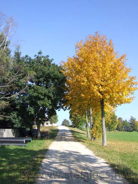 herbstliches Farbenspiel