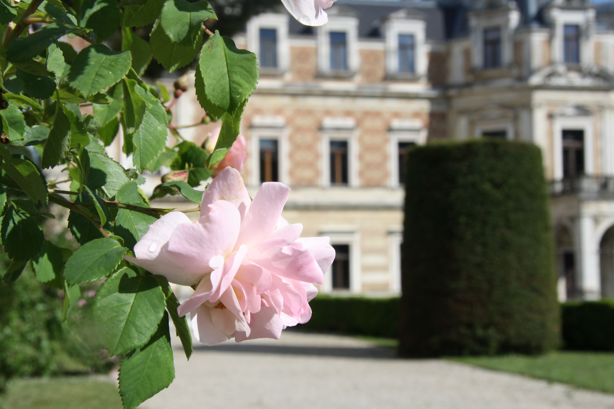 Hermesvilla im Lainzer Tiergarten