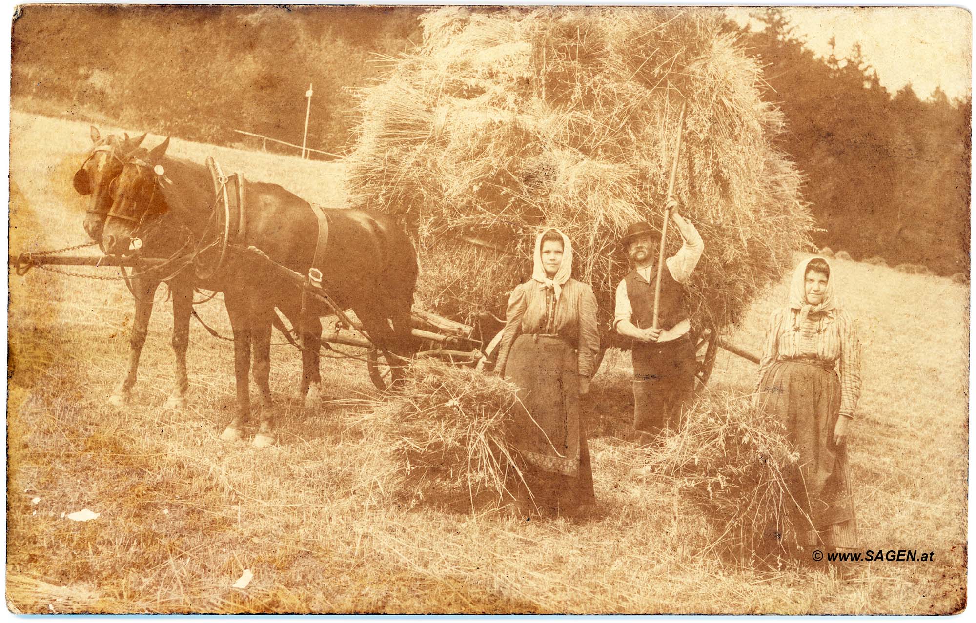 Heuarbeit Landwirtschaft