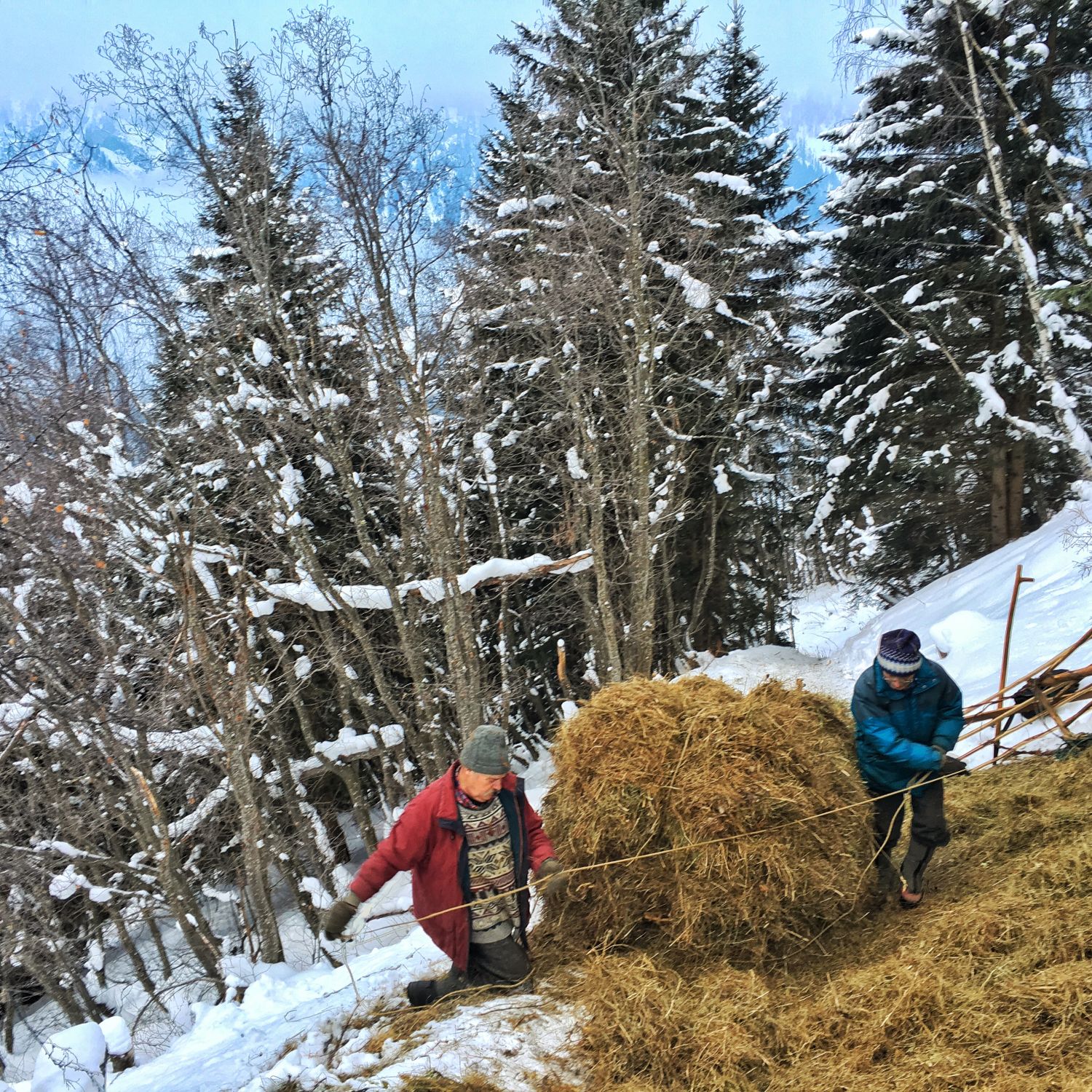 Heuziehen im Valsertal