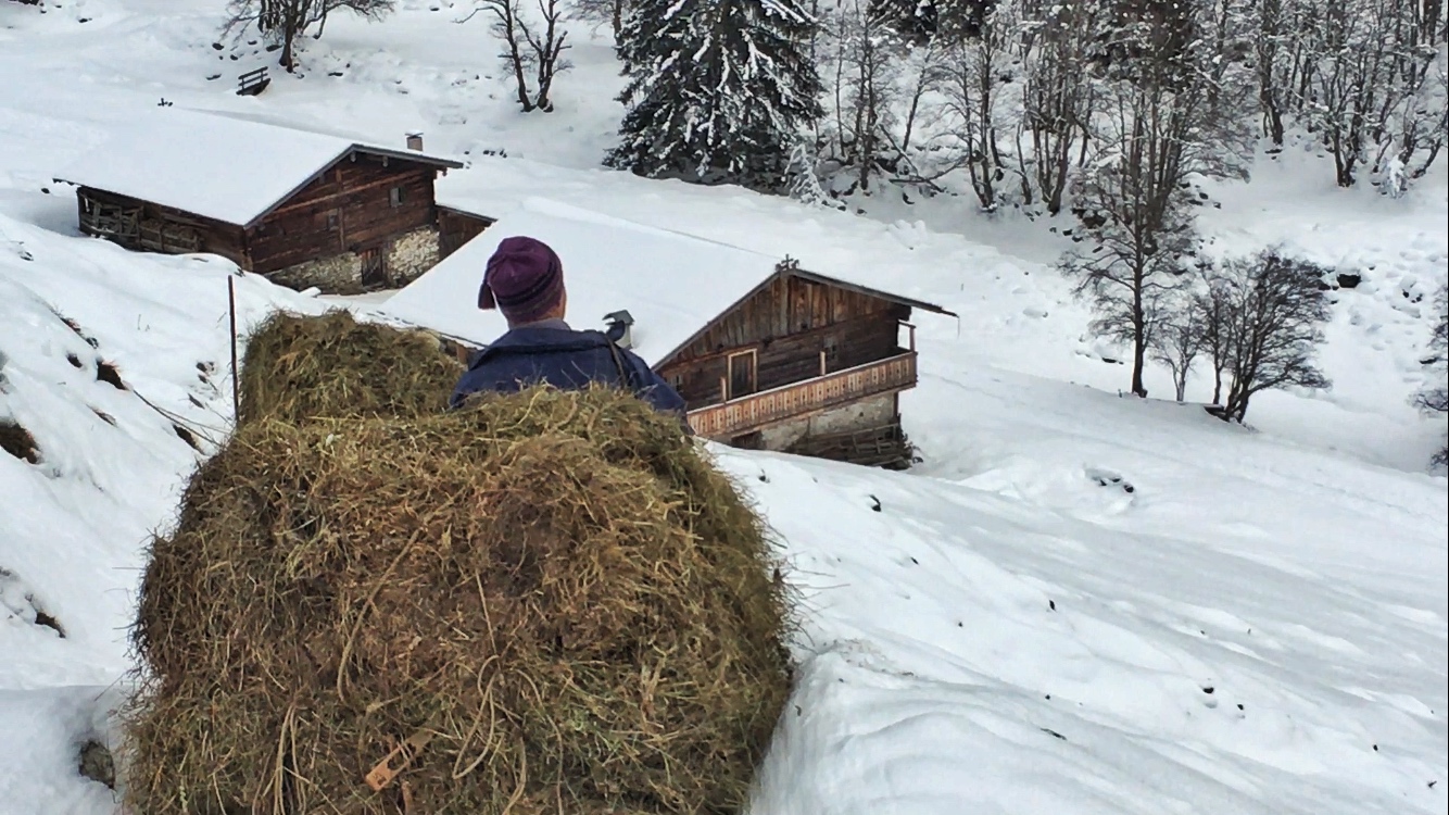 Heuziehen im Valsertal