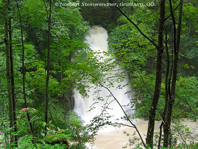 Hochwasser (1)