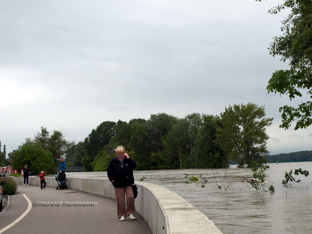 Hochwasser 2013