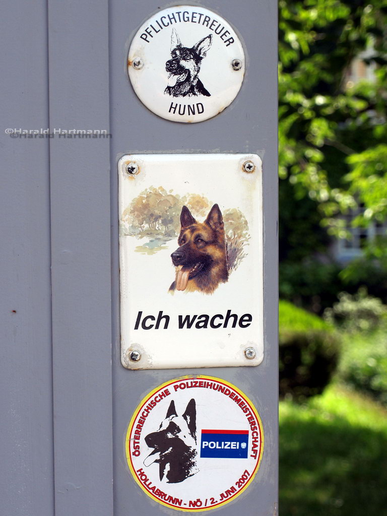 Ich wache