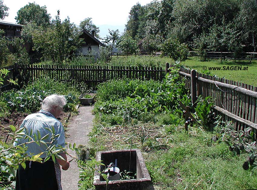 Im Bauerngarten