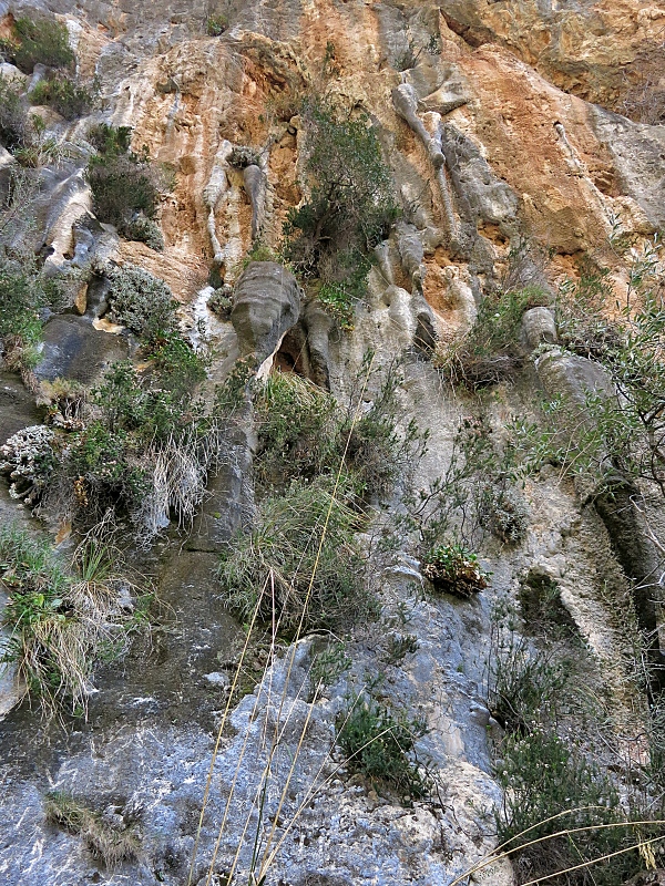 In der Schlucht von Biniaraix