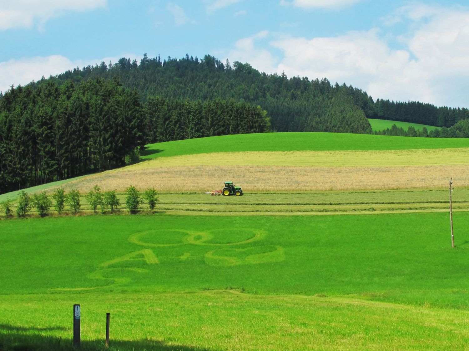 In die Wiese geschrieben