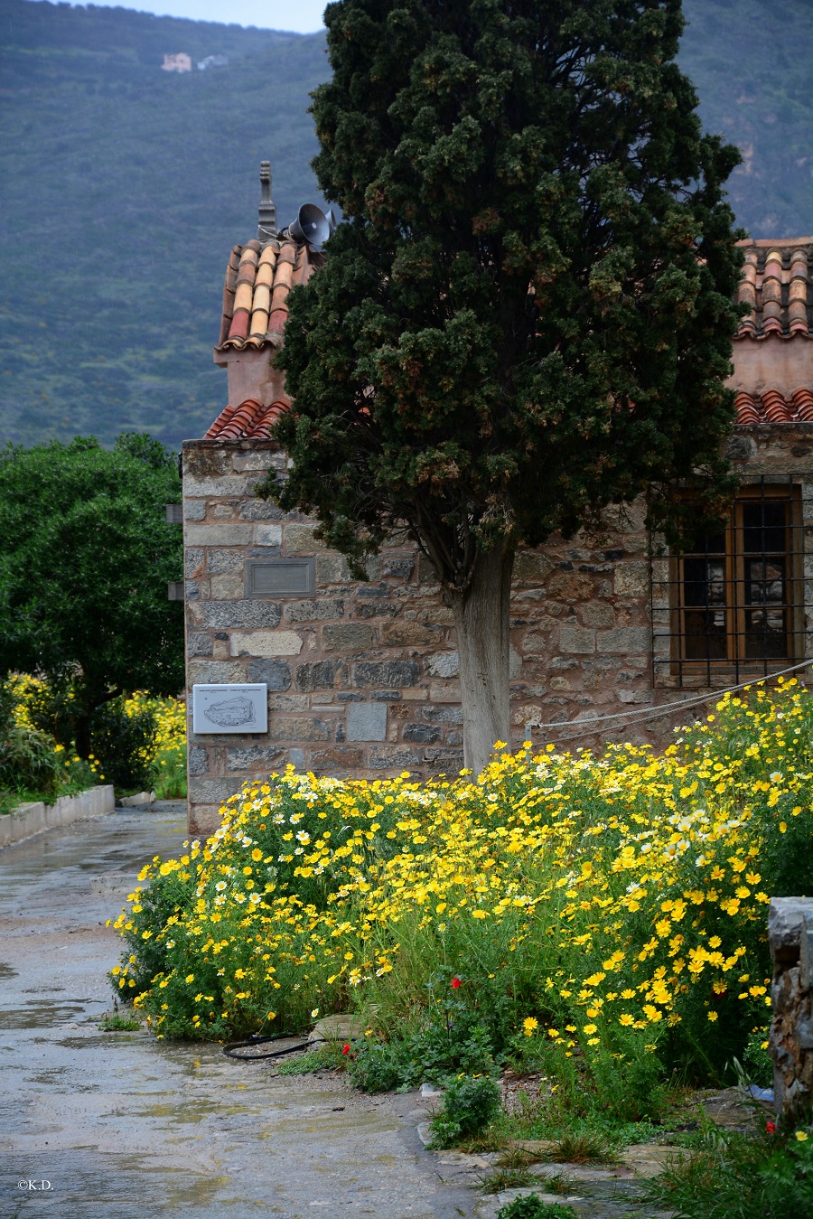 Insel Spinalonga (Kreta)