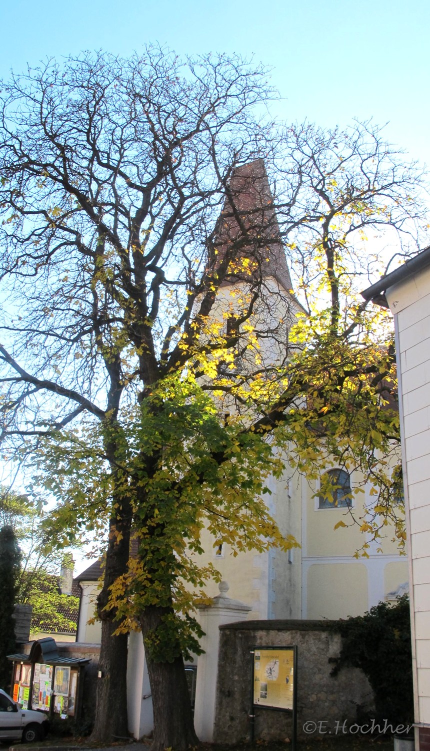 Inzersdorf ob der Traisen