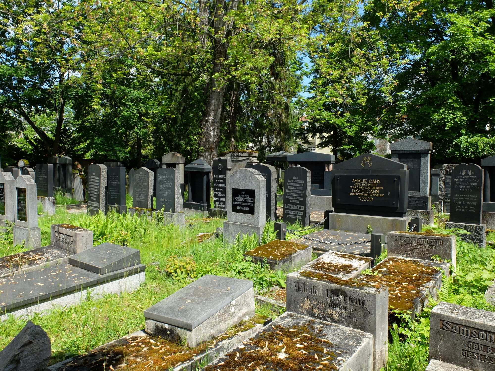 Jüdischer Friedhof in Aschaffenburg