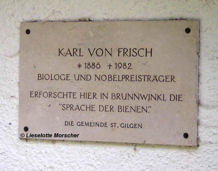 Karl von Frisch