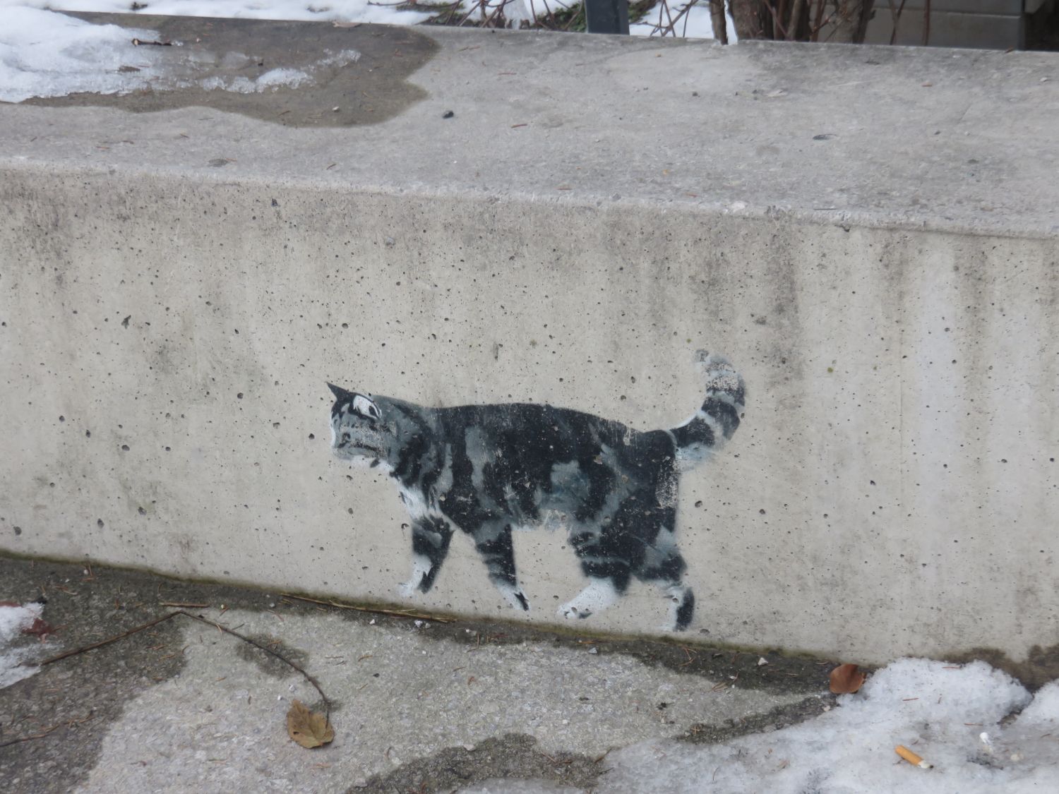 Katze Graffiti Innsbruck