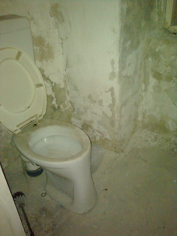 Keller-WC in Wien 4, Schikanedergasse