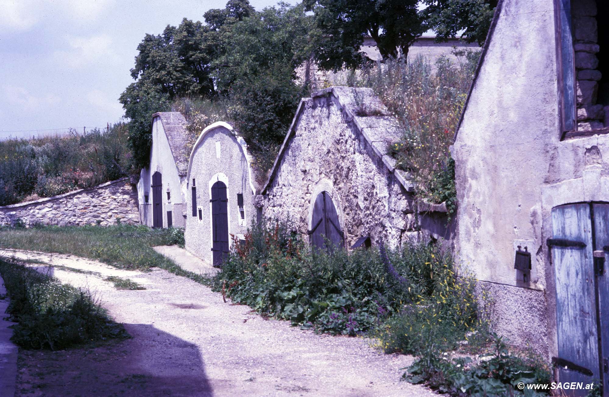 Kellergasse Breitenbrunn am Neusiedler See