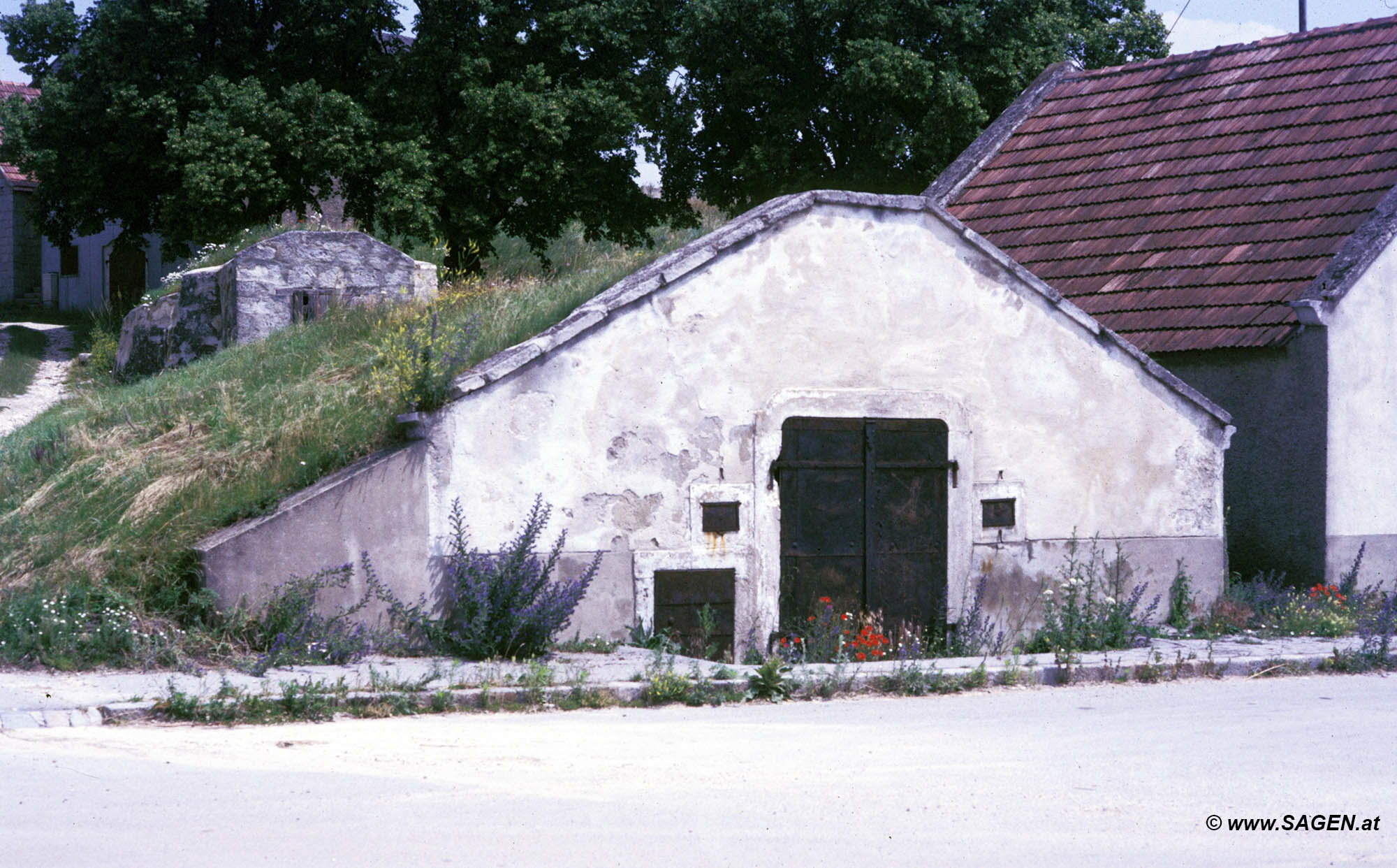 Kellergasse Breitenbrunn am Neusiedler See