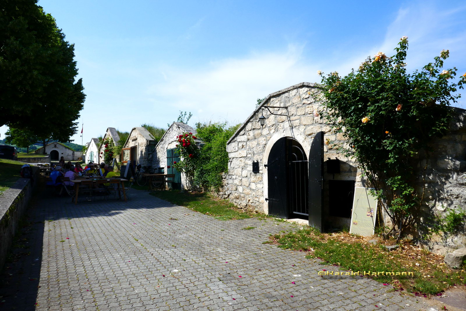 Kellergasse Breitenbrunn am Neusiedler See