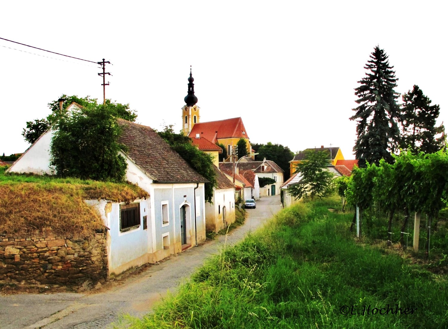 Kellergasse Gobelsburg