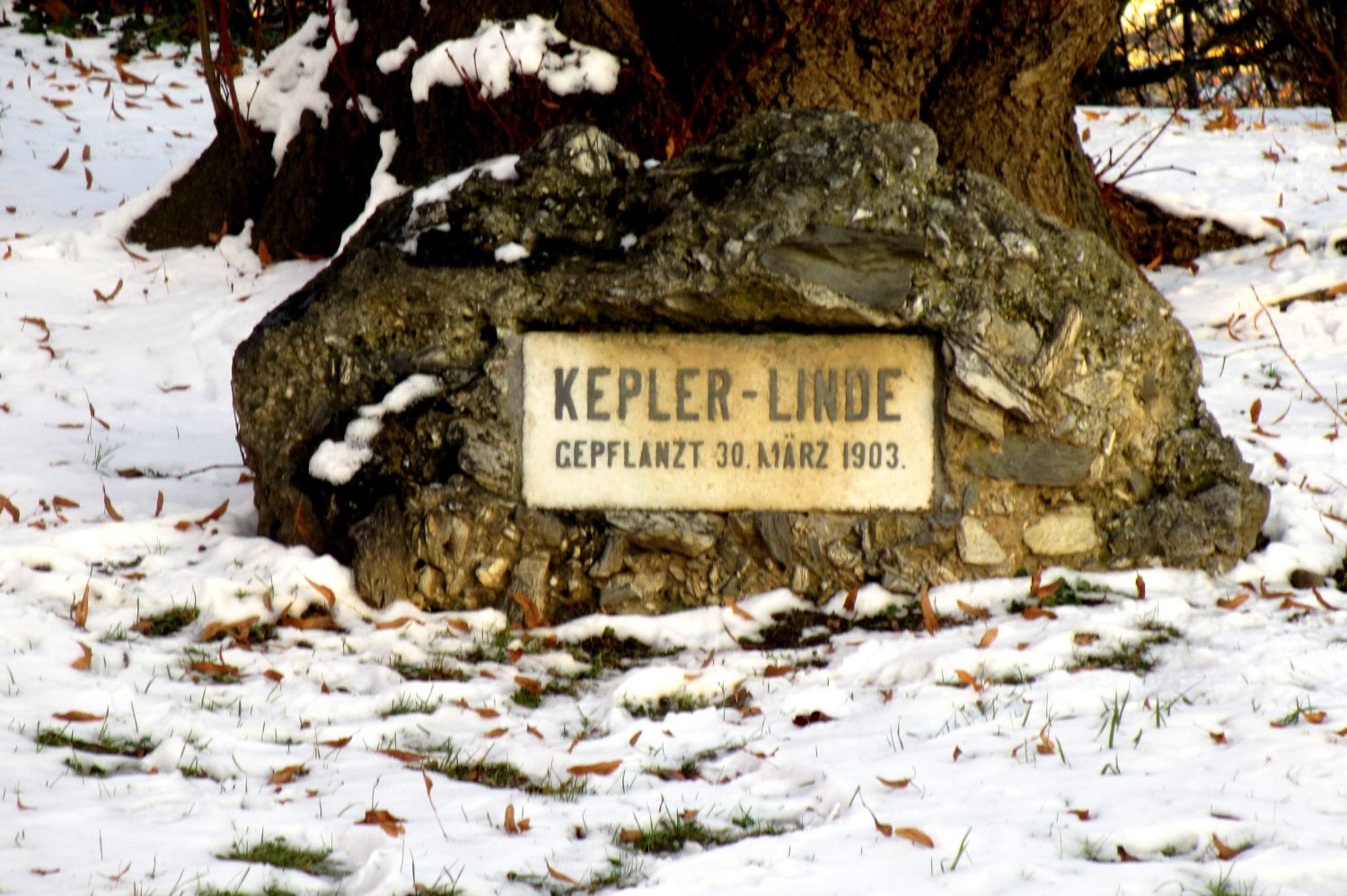 Kepler-Linde, Grazer Schloßberg