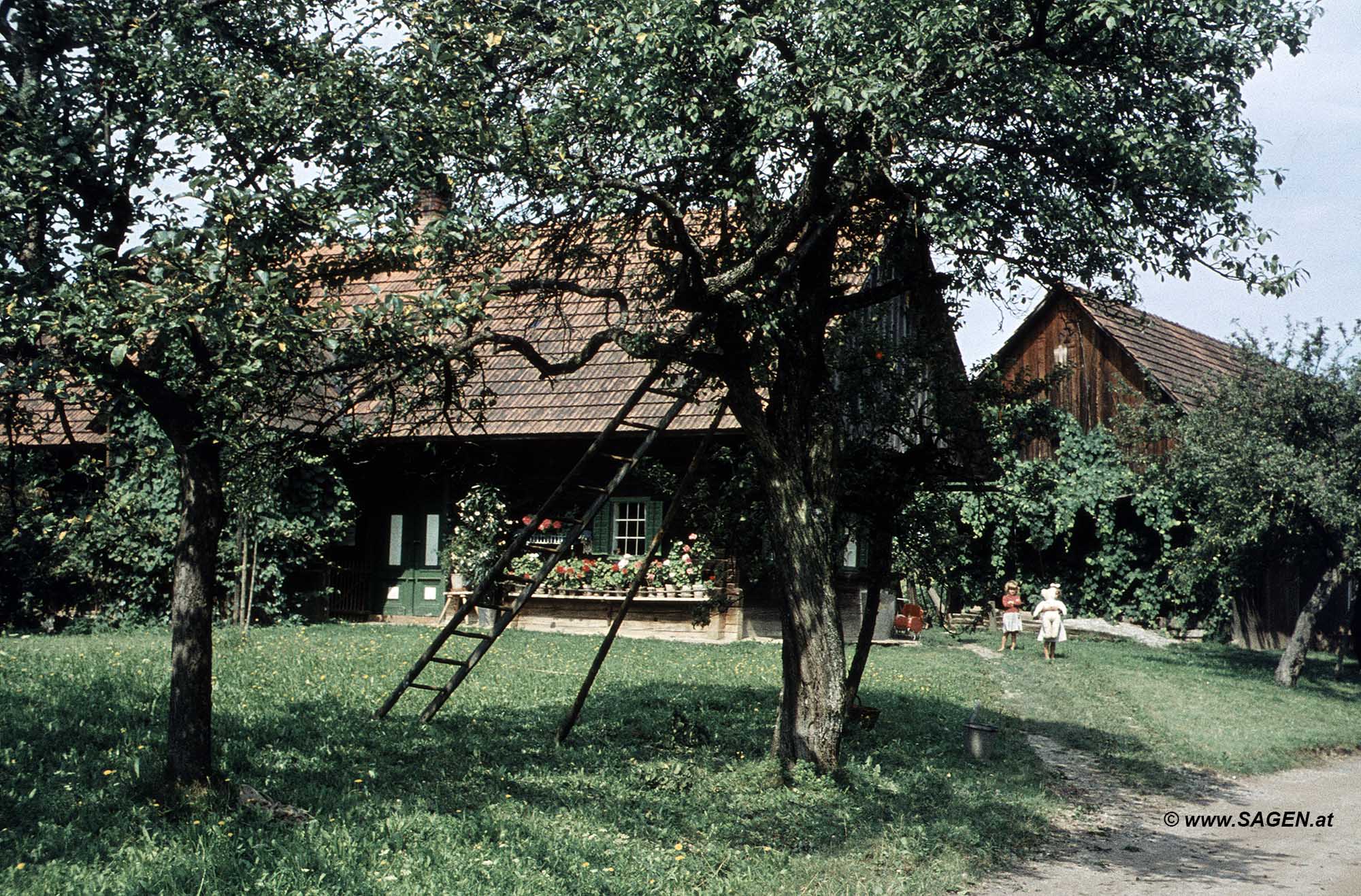 Kinder am Land beim Puppenspiel