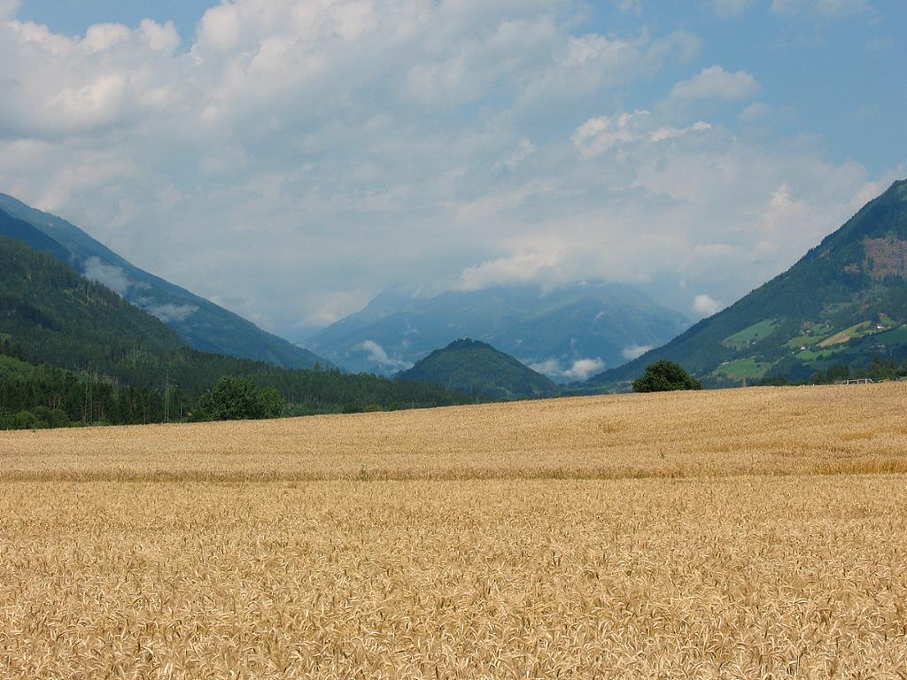 Kirche am Danielsberg - eine Umschau