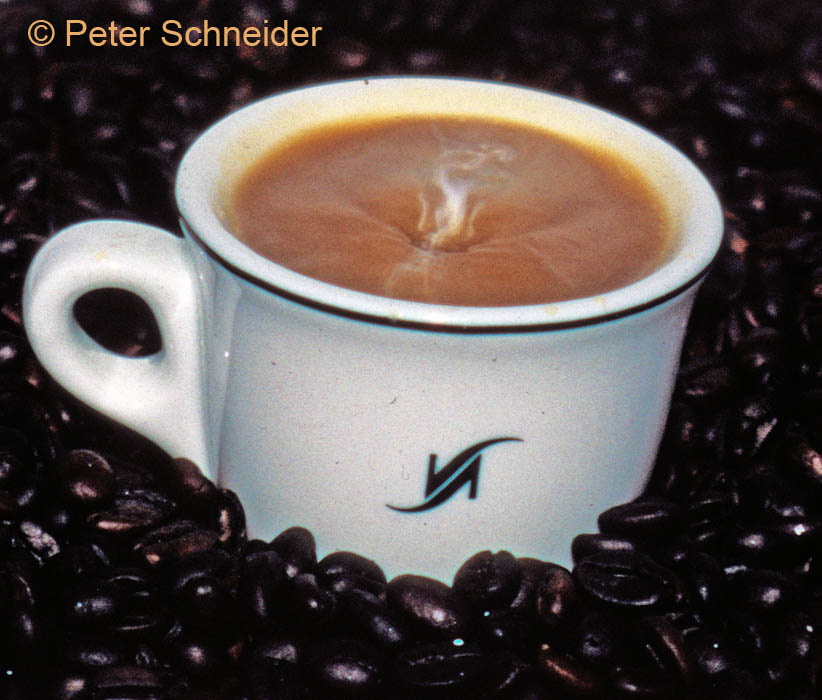 Kleiner Brauner 6/9