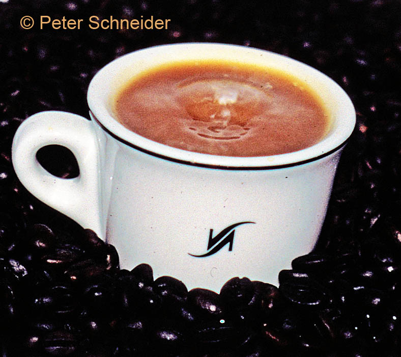 Kleiner Brauner 7/9