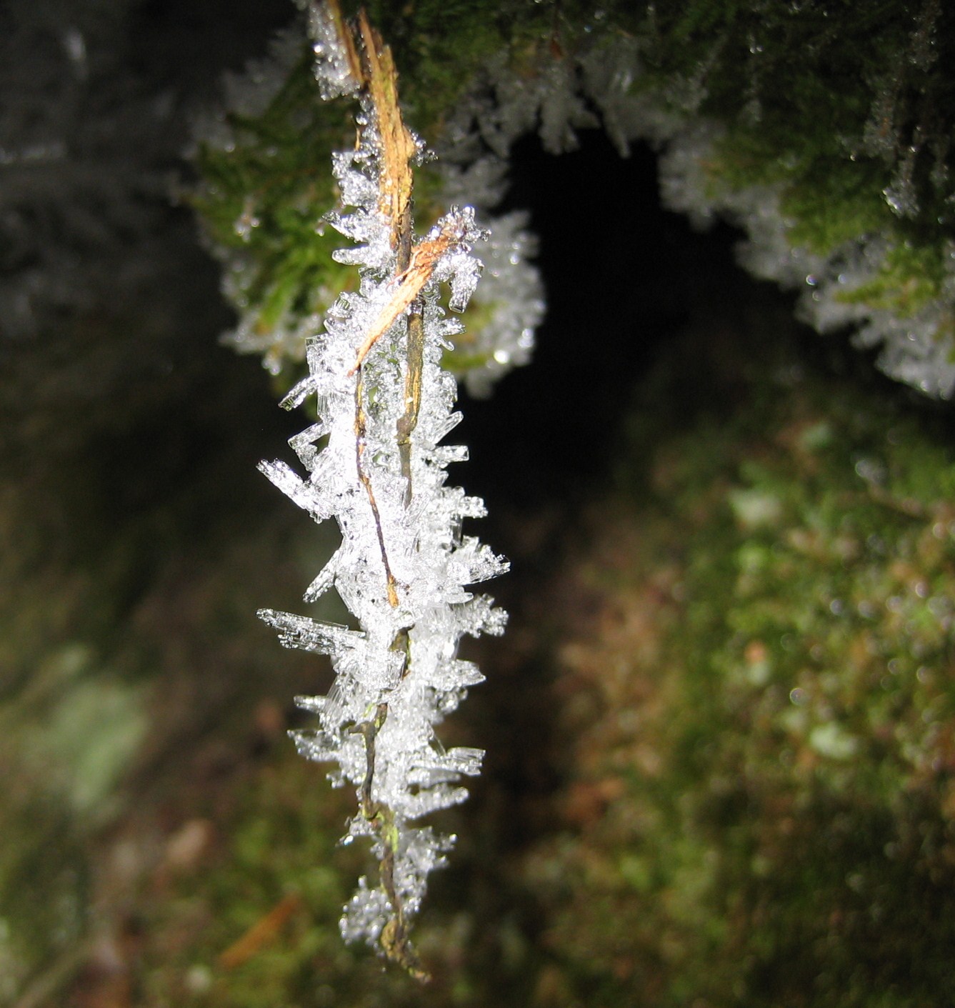 Kleinod über einer Krippenhöhle