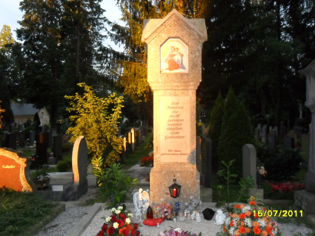 Kommunalfriedhof Salzburg Gruppe 43