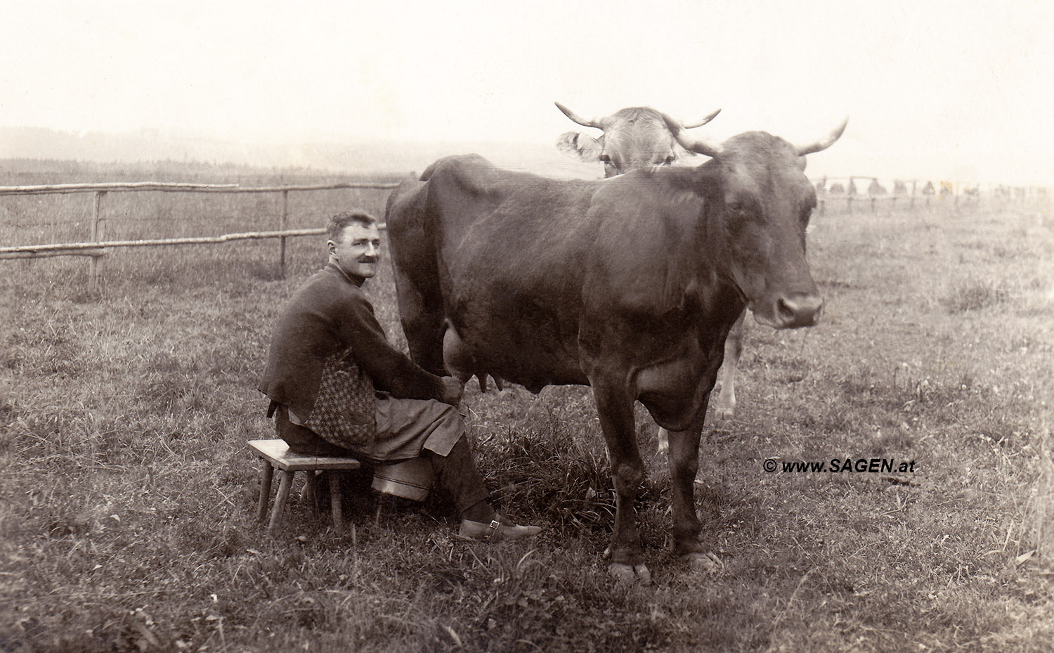 Kuh melken, Peuerbach