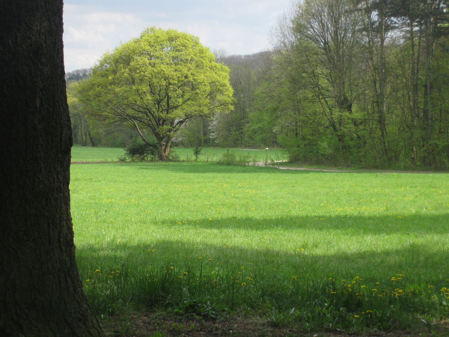 Lainzer Tiergarten bei der Hermesvilla.